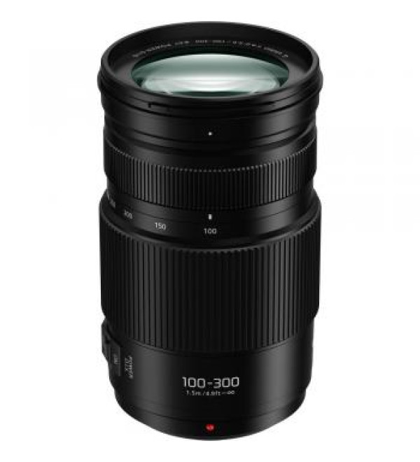Panasonic Lumix G Vario 100-300mm f/4-5.6 II POWER O.I.S. Lens
